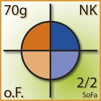 Rückantworthülle (215 x 105 mm) ohne Fenster, Nassklebung, 70 g/m2, 2/2 Sonderfarben